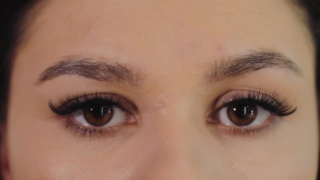 Tattoo artist makes a professional eyebrow correction: measures with a lap and contours