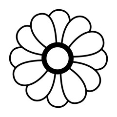 flower petals decoration