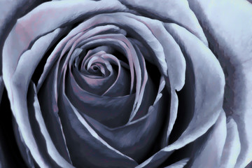 Obraz premium Streszczenie różany akwarela w kolorze szarym z nutą różu