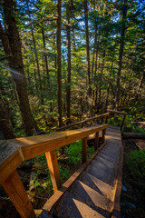 Views from the trail to lower and upper Dewey Lake, Starting from Juneau, Alaska. 