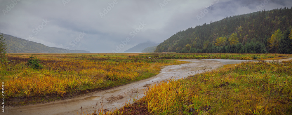 Wall mural autumn is coming for alaska. fall colors quickly taking over the summer ones.