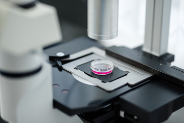 Test specimen of blood product. Zimichesky drug on research Conceptual photo of research and...