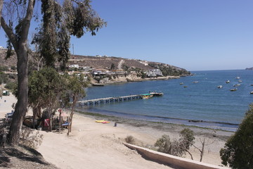 Obraz premium SAMSUNG CSC