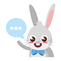 beautiful rabbit with speech bubble easter