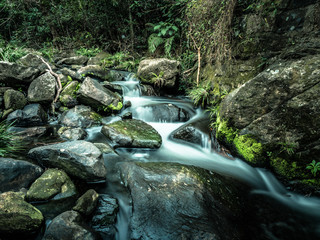 Waterfall in forest