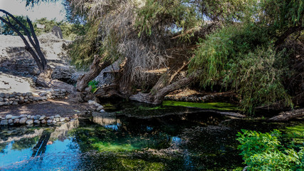 Road Trip in South America, Exploring a Natural Spring outside Nazca in Peru