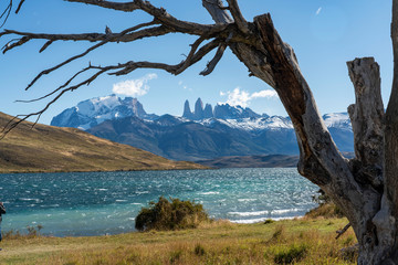 Patagonia-Framed-427