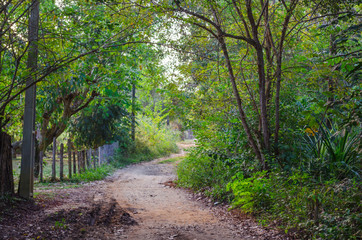 dirt road leading into trees and vegetation passing through a wooden fence