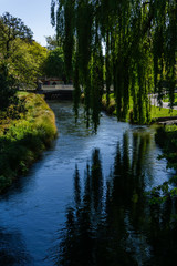 Fototapeta na wymiar river in the park during spring time