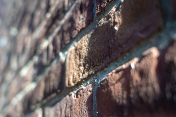Brick Wall Against the Sun