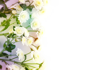 Bouquets of flowers on a white background. Flowers in soft light on a white background for design. Delicate flowers in spring and summer. Blooming and floral design.