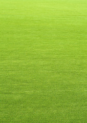 Vertical natured green grass golf field paper background