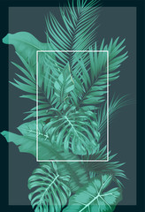 Tropical forest with square frame transparent