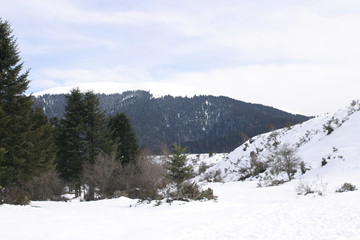 Fototapeta na wymiar Payolle Hautes Pyrénées-11