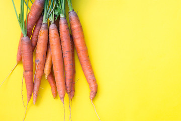 Fresh organic carrots with soil and greens, top view