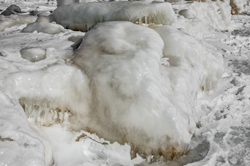 Frozen Nature Sculptures