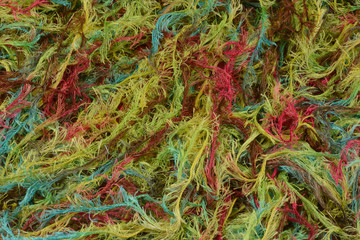Background of close up of strands of green red and blue yarn or ribbon