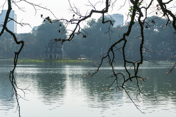 Young red Buds on the branches in winter at Hoan Kiem lake, Hanoi. Turtle Tower on background