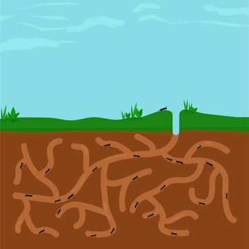 Ants busy in ant hill tunnels beneath a large blue sky. Square landscape. Flat design vector illustration.