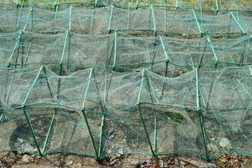 Green fishing nets abstract horizontal background texture