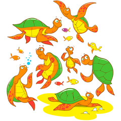 Cartoon Vector of turtles family. A set of cute and colorful icon collection isolated on white background