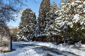 Black wrought iron fence opening to a snow covered lane of trees