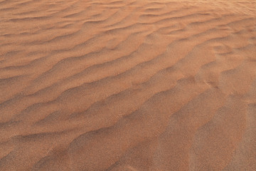 Sand dunes background
