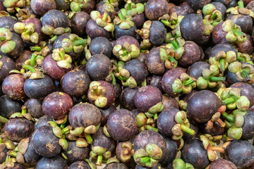 Mangosteen queen of fruit. Healthy fruits Red mangosteen background, dark mangosteen, dark mangosteen.