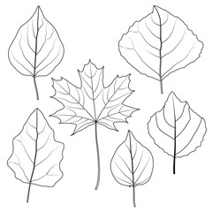 Icons tree leaves.