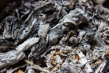 Pile of ashes from burn the wood in the stove. background and grunge texture