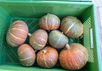 pumpkins in a market box