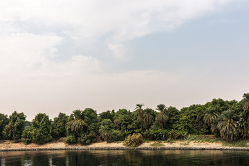 Fototapeta na wymiar Coast of Nile