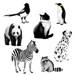 Obraz premium Black and White Animals Set of drawings of animals having a black and white color. Illustration, vector. EPS-10.