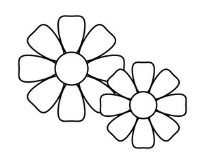 flowers decoration nature