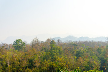 trees in forest landscape and mountains view with haze at summer of Thailand