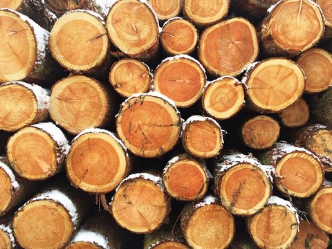 A full frame background image of sawn logs stacked high for firewood or timber in a deforestation and environmental awareness image