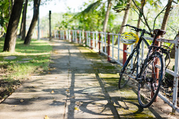 Fototapeta na wymiar Bike on the green path