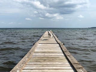 Obraz premium Dog on pier on the lake
