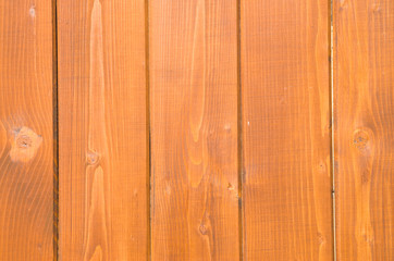 New wooden boards on wall close up
