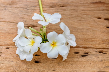 Fototapeta na wymiar Plumeria flowers are blooming on old wooden floors.