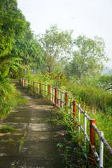 Fototapeta premium green path at river side