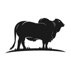 angus cow logo