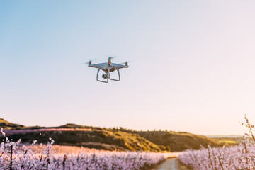 Dron flying over field of flowers