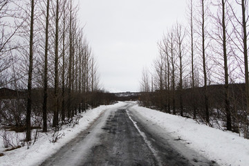 Highway 1 Iceland. Clear road covered in winter.ring road, route 1 in Iceland