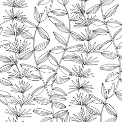 Seaweed. Seamless vector pattern with underwater plants. Abstract floral background.Black and white.