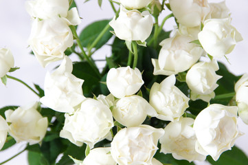 コットンカップという名前の白いバラの花束