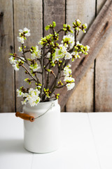 Fototapeta na wymiar cherry flower blossom branch in enamel milk canister at white wooden table, old weathered wood wall background