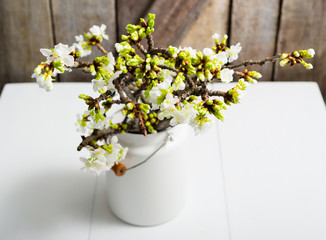 Obraz na płótnie Canvas cherry flower blossom branch in enamel milk canister at white wooden table, old weathered wood wall background