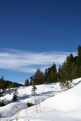 A view to Ilgaz Mountain, Kastamonu, Turkey
