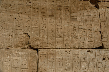 Egyptian ancient hieroglyphs on the stone wall